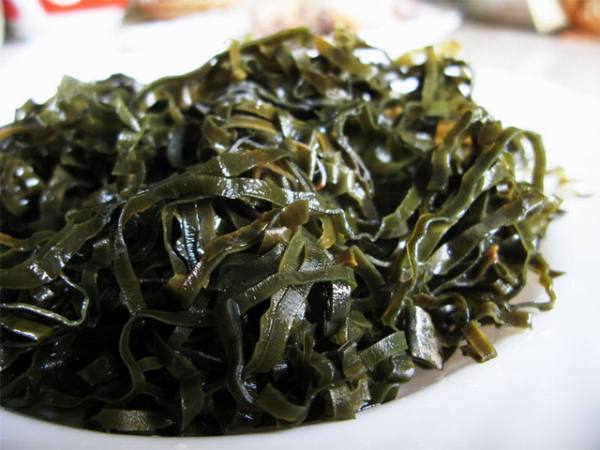 Wodorosty morskie — korzyści dla zdrowia